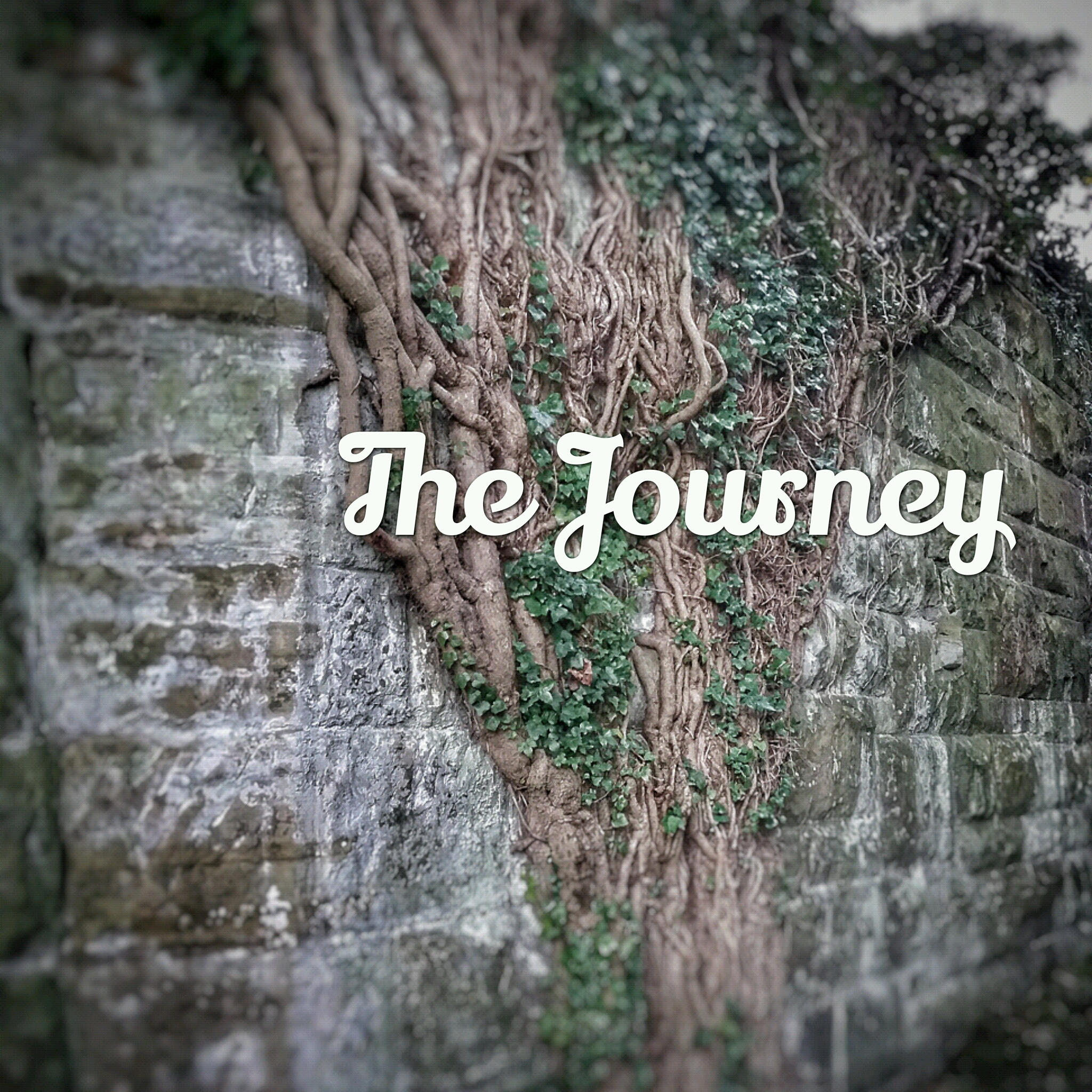 The Journey